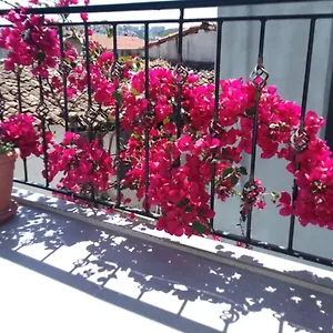 Ξενοδοχείο Casa Magnolia Boutique, Κουσάντασι